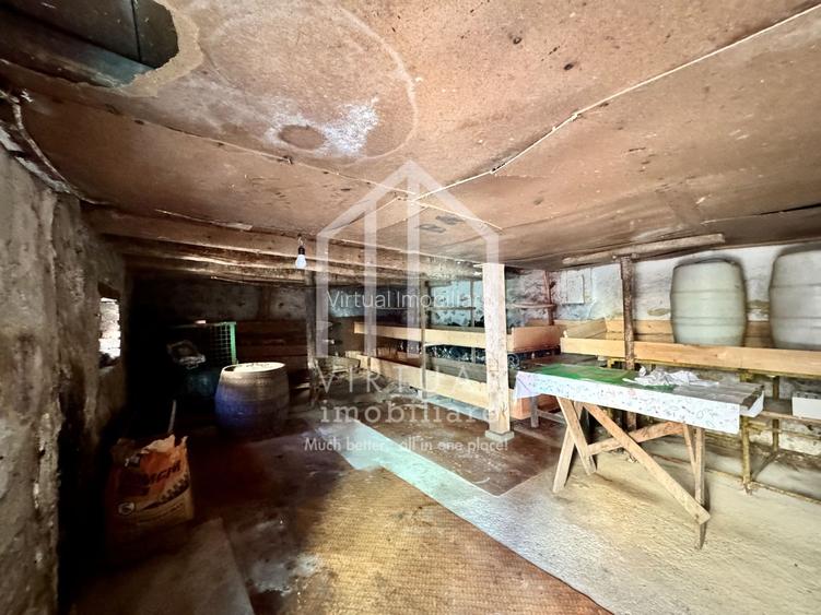 Casa individuala cu accest auto, 4 camere, 490mp teren, Rasinari - 19