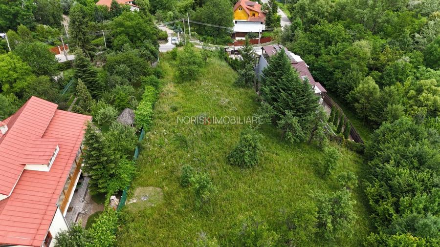Breaza de Sus - Gura Beliei - teren cu vedere spre munte - 9