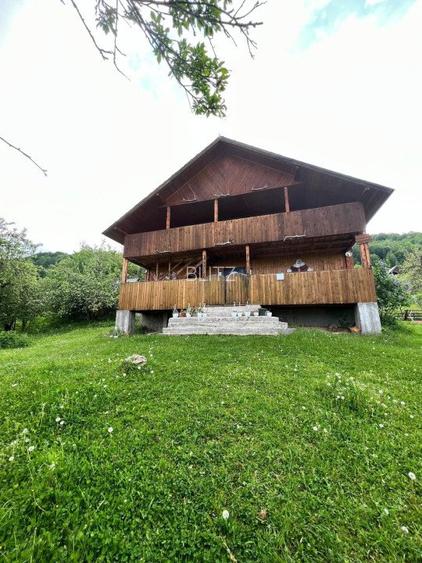 Cabana de 210mp, 2600 mp teren, in Rachitele - 12