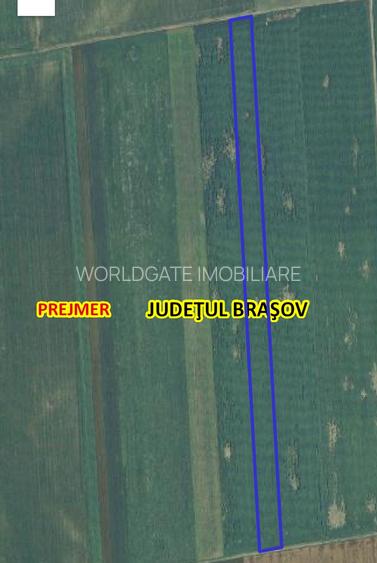 Anunț Vânzare Teren în Prejmer - Zonă Parc Industrial - 7