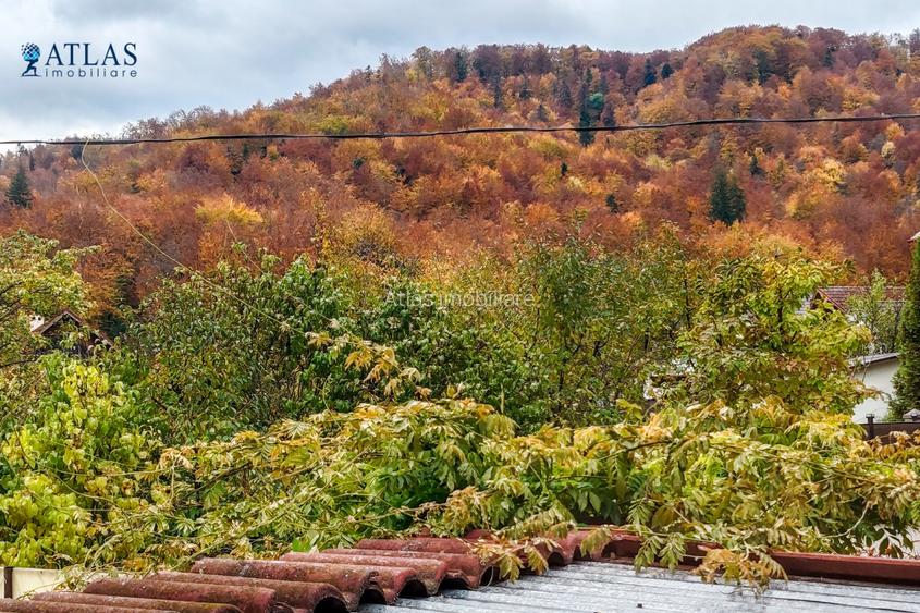 Casă ideală pentru familie, curte, zona parcare, in apropiere de natură, Noua - 14