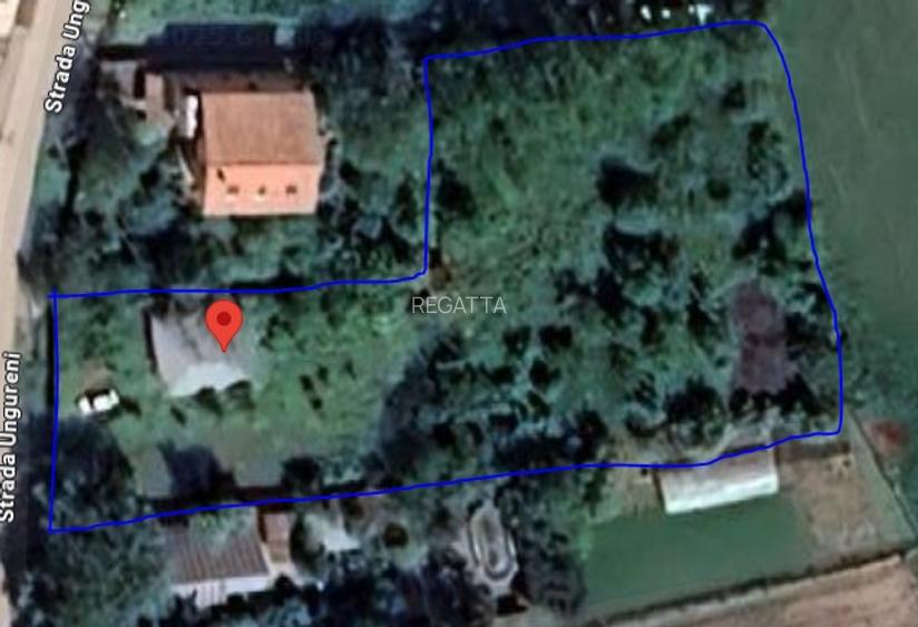 Teren Generos cu Casa in Gruiu - Snagov - 28