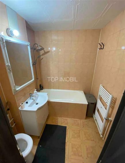 Inchiriere apartament 2 camere-Alexandru cel Bun - 8