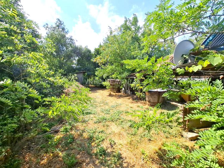 Oportunitate unica de investitie   DN23 - Trafic Intens - 4