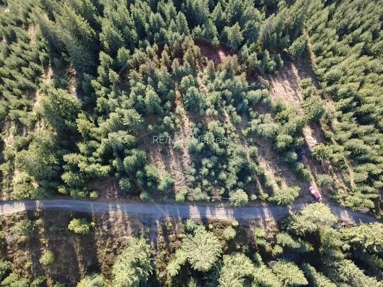 Teren 17,895mp Dorna-Arini / Prelungirea Cozănești - 4