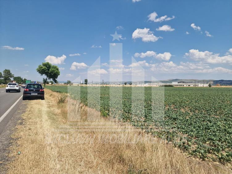Teren agricol | La sosea | 9100 mp | 40 ml deschidere - 2