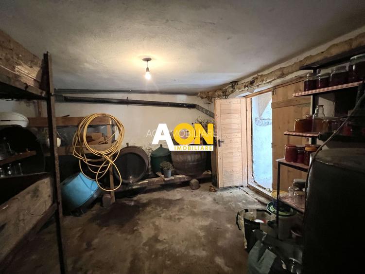 Casa de vanzare pretabila 2 familii, garaj, livada, comuna Pianu - 36