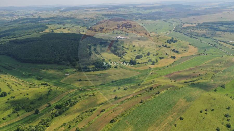 INVESTITIE REZILIENTA 300 HA Teren de vanzare in Zlagna Sibiu - 2