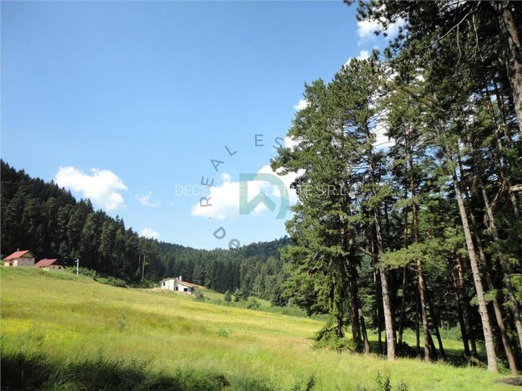 Teren Poiana Angelescu, Sacele, Brasov - 5