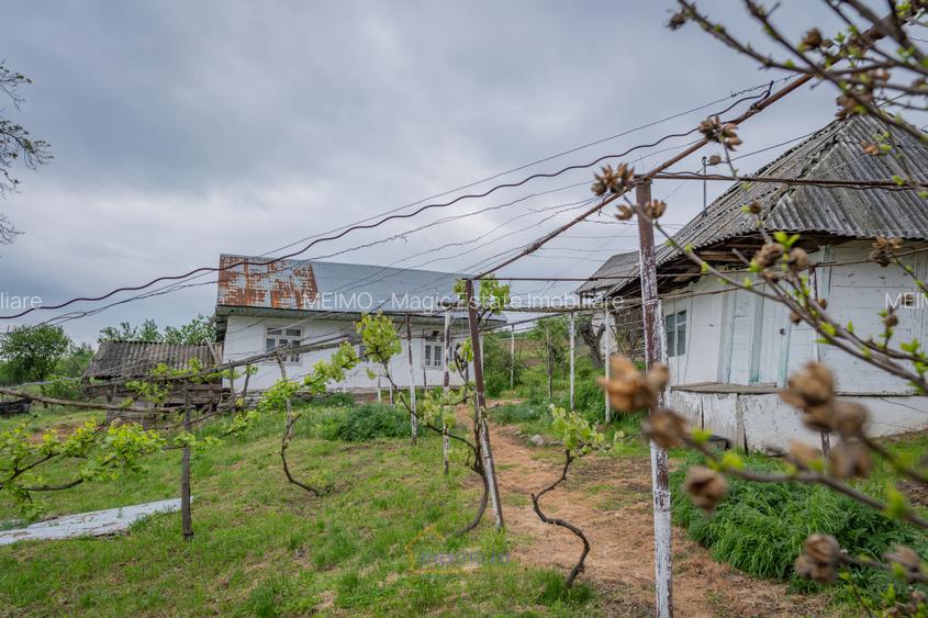 Casă din chirpici, bucătărie de vară și 1.34 ha de teren, Ardeoani - 4