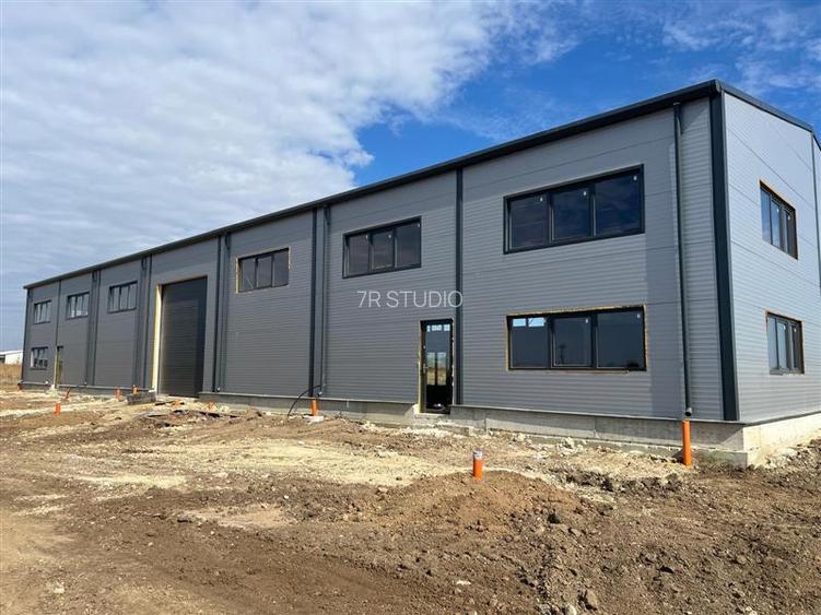 Vanzare Hala Noua Dascalu, plus teren - 3