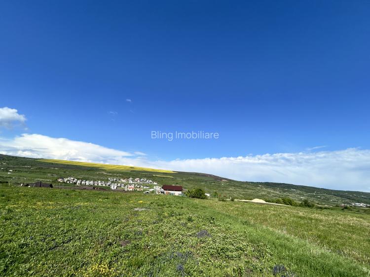 Teren de vanzare Valea Chintaului 1300mp front 24ml - 2