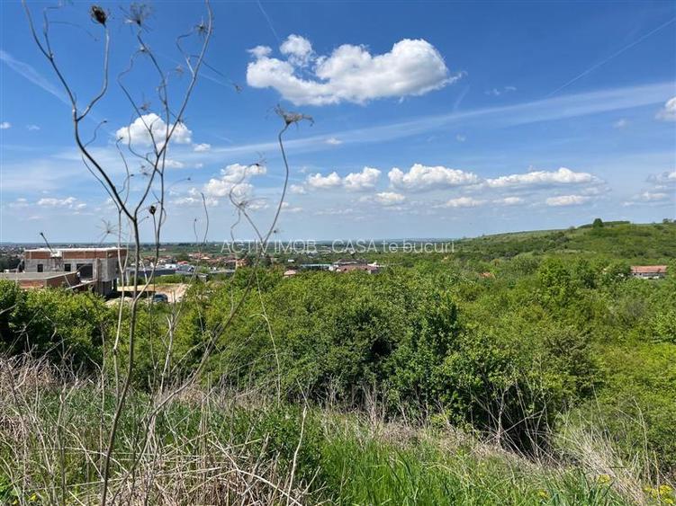 Lugoj Teren  8.200 Mp., Dealul Viilor, Priveliste Impresionanta - 15