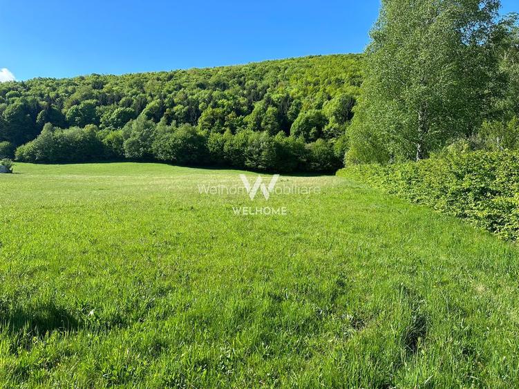 Teren Intravilan in Tocile-priveliste deosebita - Sadu - Sibiu - 2