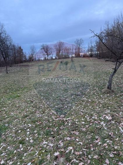 Teren intravilan cu priveliste de vanzare in Rus - 8