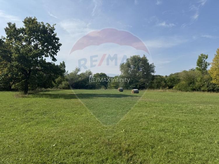 Teren 10.000 mp Calatele – Apuseni, langa rau, ideal investitie turism - 8