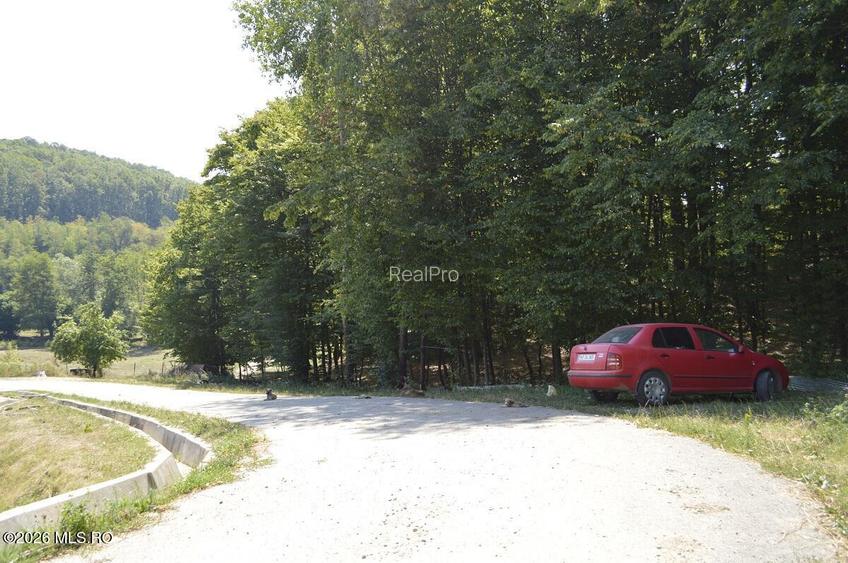 Bogati - Glimbocel, Ferma Zootehnica, Cladiri 1996 mp, Teren 4.89 ha - 13