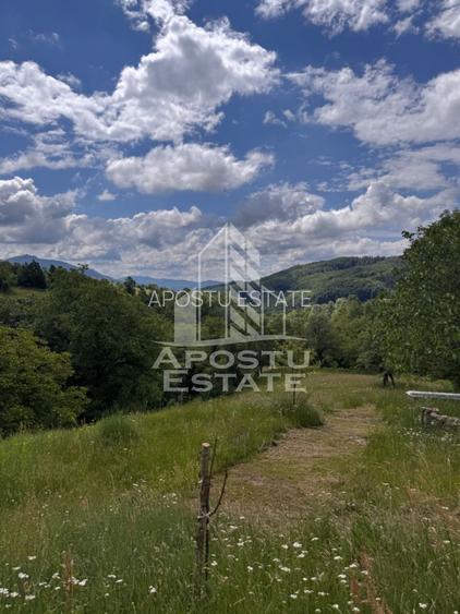 Casa la munte, la cheie, priveliste panoramica, in sat Ret, Hunedoara - 7