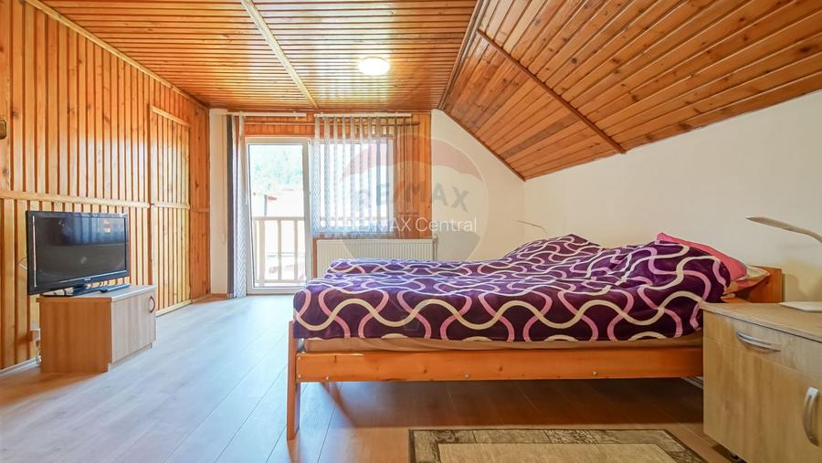 Casă falnică, curte individuală, langă Piața Unirii, în inima Scheilor - 17