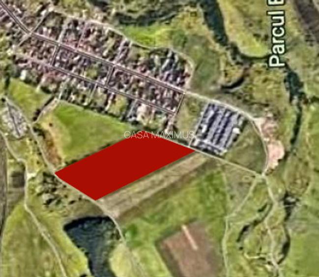 Teren Intravilan 16.800 mp intravilan – Oportunitate Excepțională în Zona Zavoi - 3