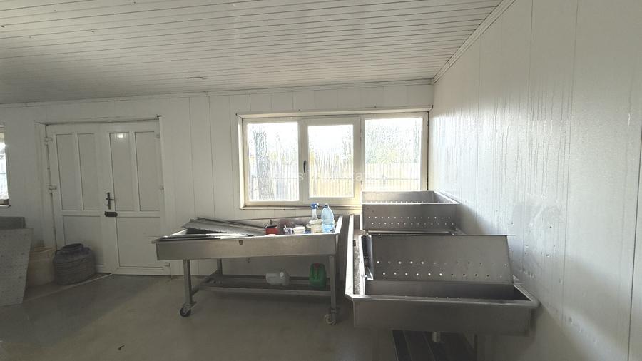 Făbrică de producție brânzeturi, Business funcțional, 25 de ani activitate - 7