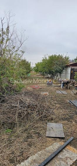 Domnești- Str.Fortului, 742mp, gaze, lumină - 5