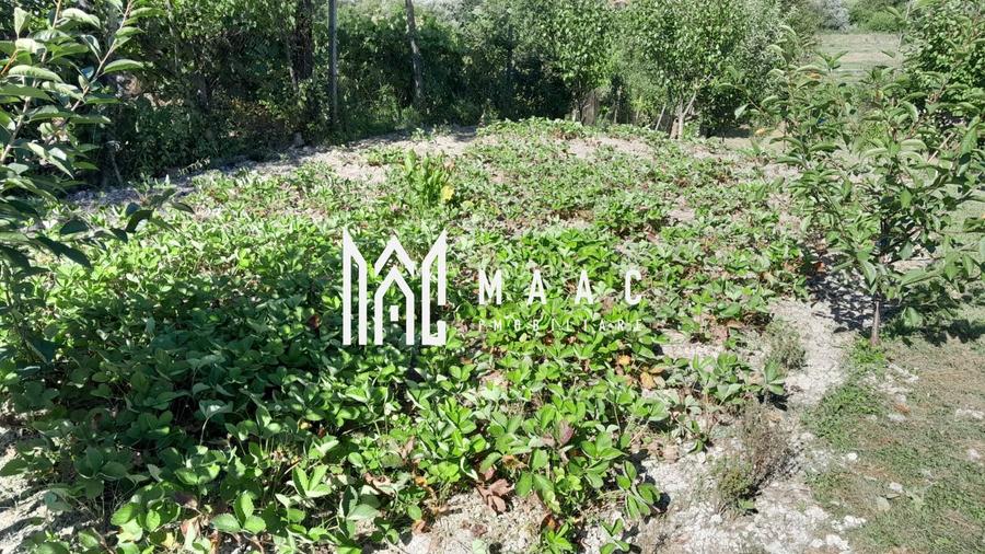 Casa individuala | 4 camere | Teren 2000 MP | Seica Mare - 5