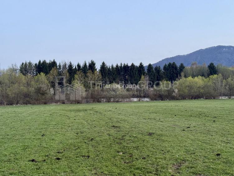 Teren intravilan, 7838 mp, cu priveliște superbă spre munți – Zărnești - 10