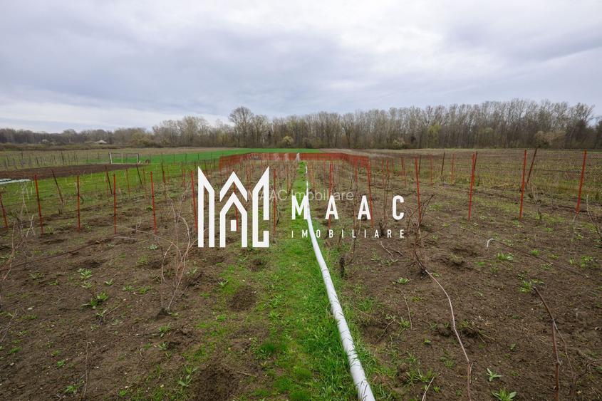 CASA DE VANZARE|  2087 MP TEREN| COMUNA FARTATESTI| - 12