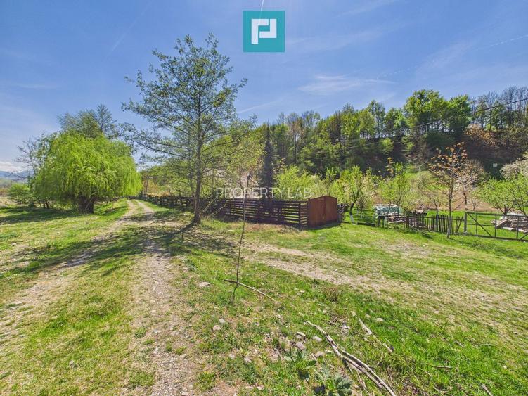 Casă Câmpani, 8000 mp teren, la poalele Apusenilor - 14