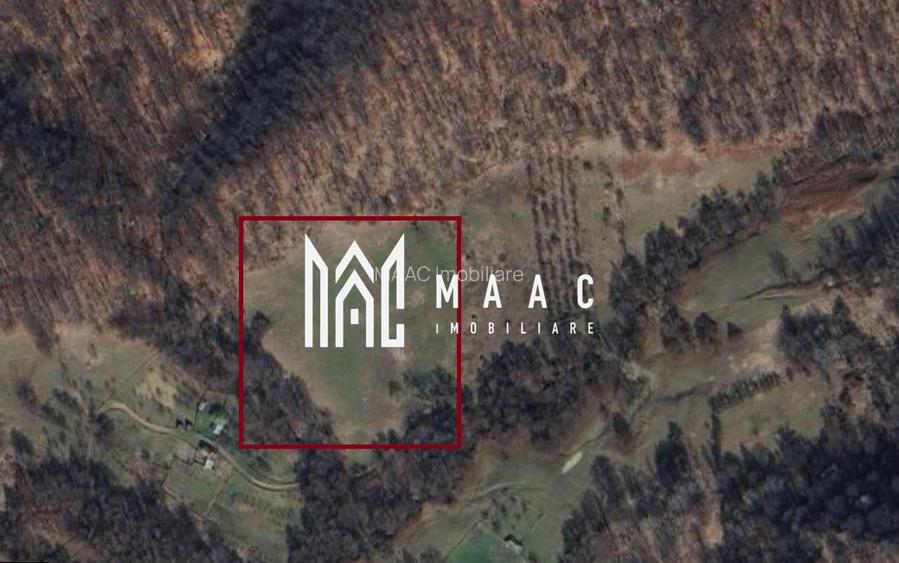 Teren Extravilan 20.000Mp I Stoenești -Vâlcea I Apă Curentă și Pădure - 16