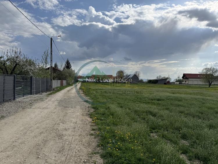 Teren Sat Bacel 6200 mp - 8