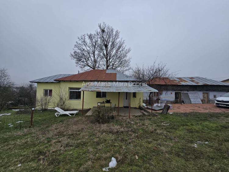 Casa cartojani giurgiu gaze apa centrala, direct proprietar - 7