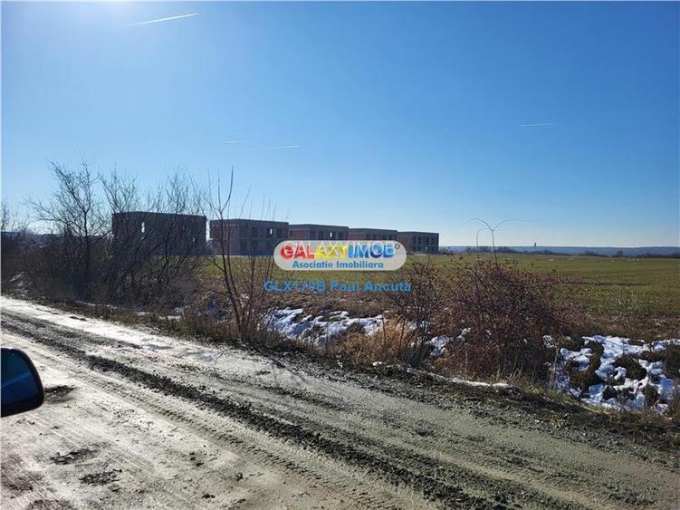Teren Corbeanca 25000 mp  locuinte Rezidential - 4