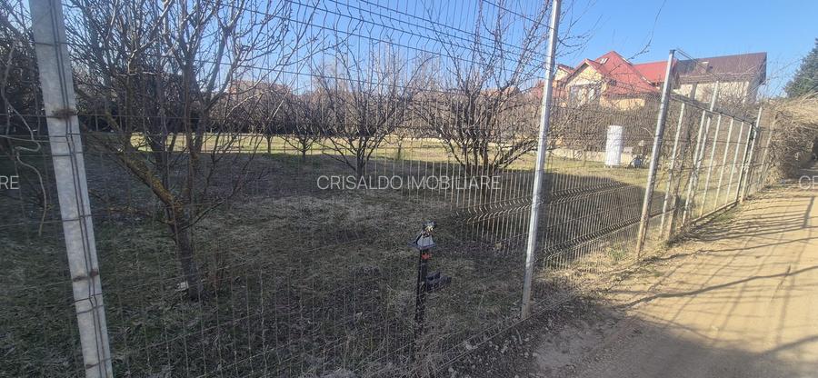 Oportunitate - Teren Iancu Nicolae - Serban Cantacuzino - Ibiza - 7