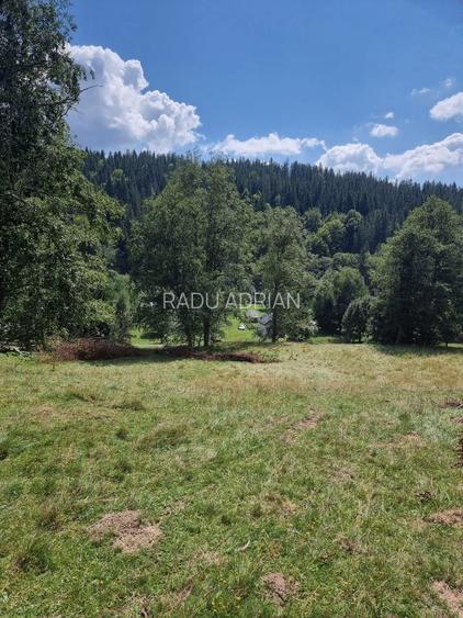 Vand teren 7800mp din care 3000 intravilan si 3800 mp padure  - 4