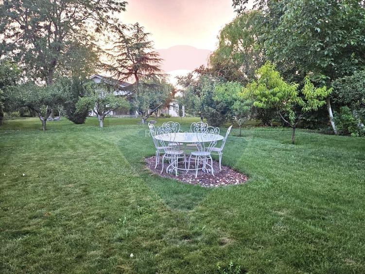 Casa/Vila cu teren deosebit de vanzare in Techirghiol Constanta - 5