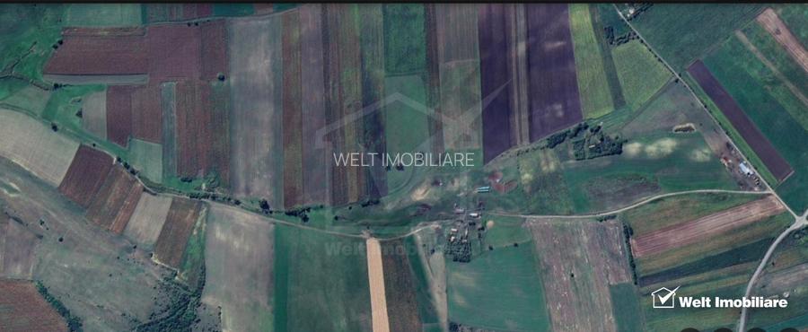 Teren nucifer cu plantatie de aluni, sat Frata, jud. Cluj - 11