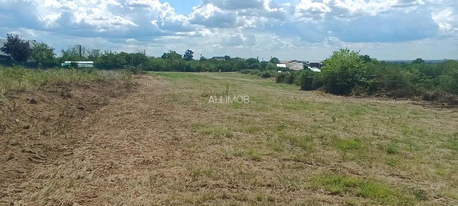 Terenuri cu suprafete intre 500 si 1500 mp in Baicoi, zona Liliesti. - 13