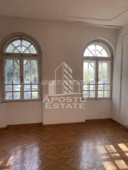 Doua case in aceeași curte - 3