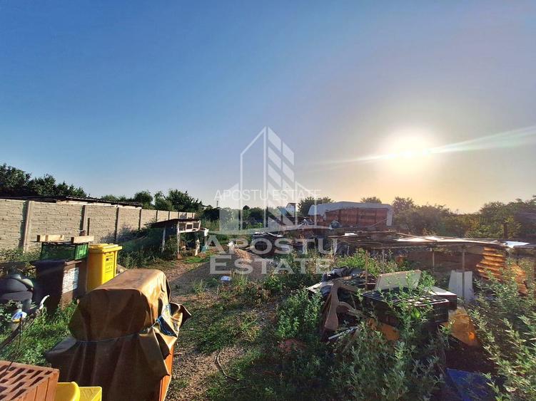 Casa cu 4 camere, 1520 mp teren, Gai - 7