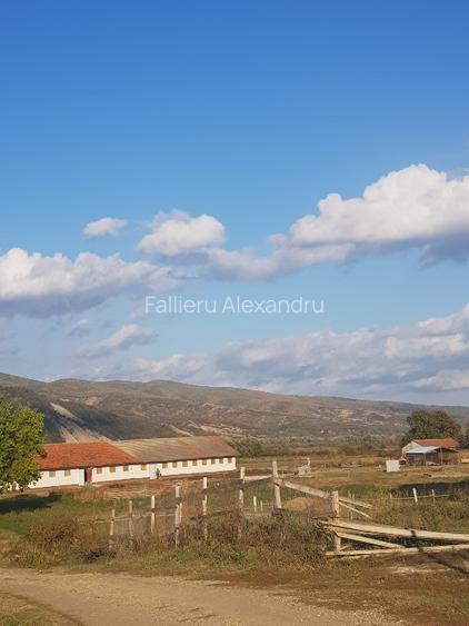 vand sau inchiriez  17500 mp intravilan in Cislau , sau parcele de 500 - 1000 mp - 2