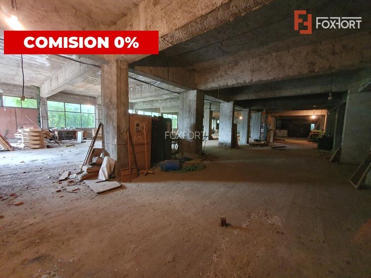 Cladire productie Parter + 3 niveluri, teren intravilan 9738 mp in Timisoara - 10