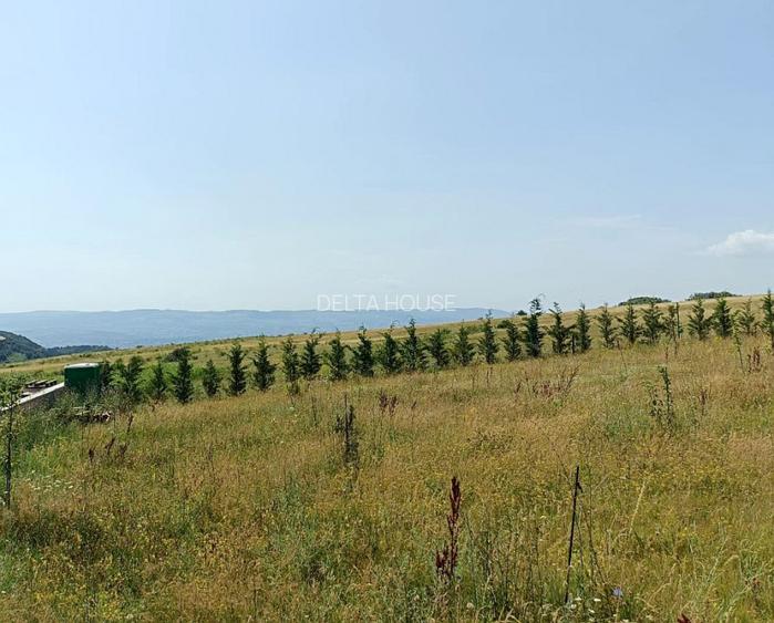 Oportunitate: teren extravilan Cluj, 4527 mp, apa, curent, pret 18 Eur/mp - 4