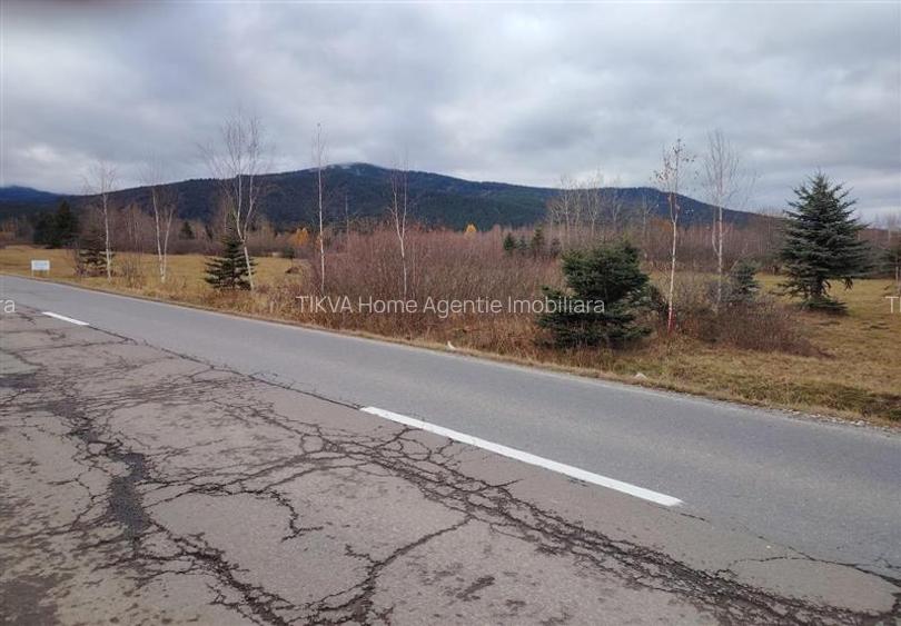 Teren extravilan in Borzont, langa DN13B - 6