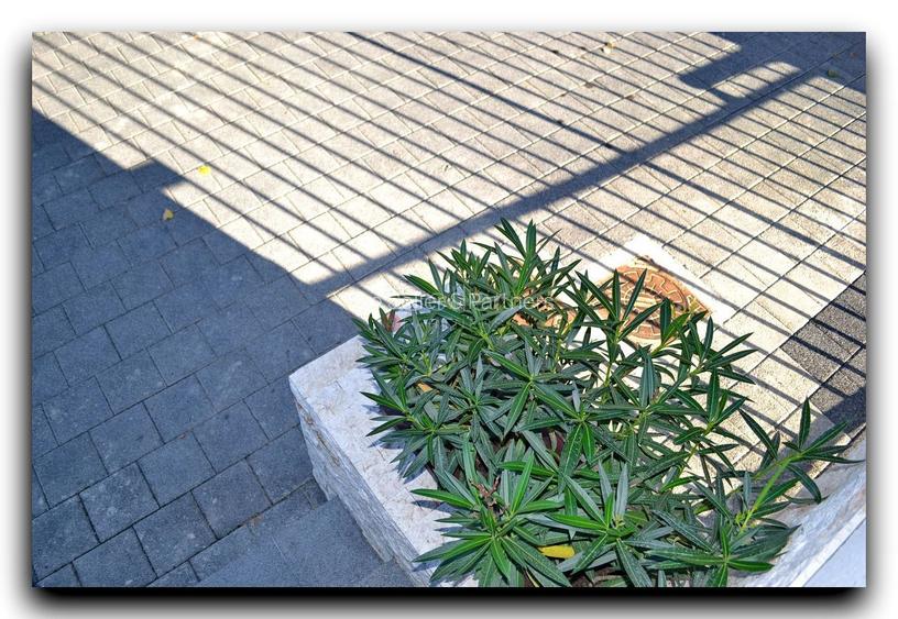 Aparthotel Pozitionare Centrala - 2