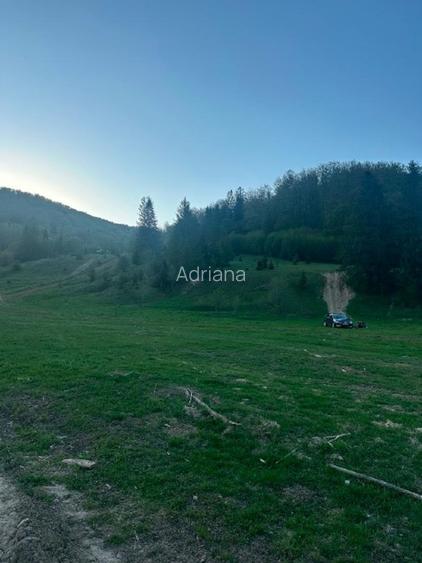 Teren intravilan în Marginea  - 10