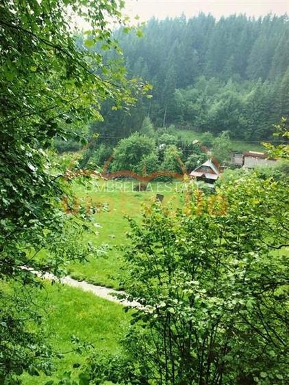 TEREN DE VANZARE 34.201m²/20€ m² IN VARSAG HARGHITA - 10