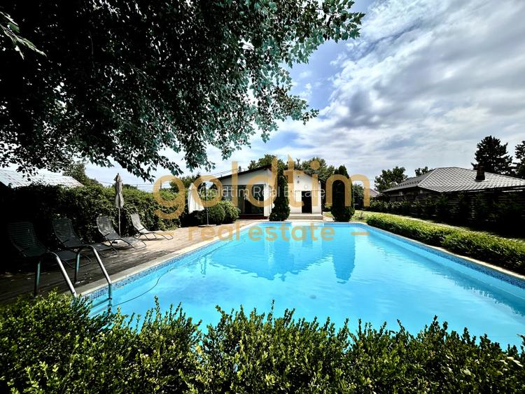 VILA SUPERBA+CASA OASPETI/PISCINA/IESIRE LAC-PONTON/DEBARCADER/GARAJ/SERA/SNAGOV - 4