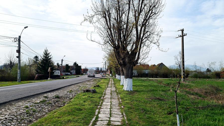 TEREN INTRAVILAN DE 2134 MP CU DRUM PROPRIU ÎN PREJMER – IDEAL PENTRU INVESTIȚIE